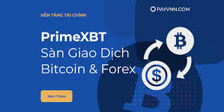 Understanding PrimeXBT Exchange A Comprehensive Guide Understanding PrimeXBT Exchange A Comprehensive Guide